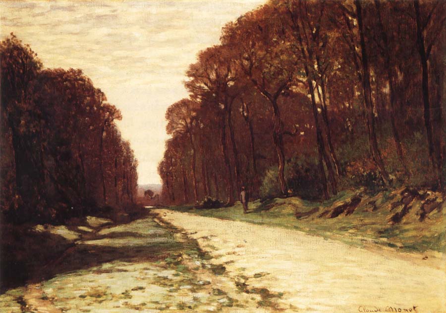 Road in Forest